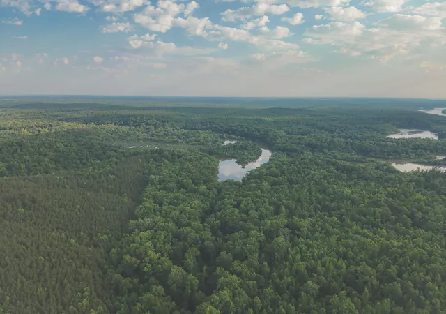1st image of 0 Bunches Chapel Road, Parsons, TN 38363 | MLS# 3217621