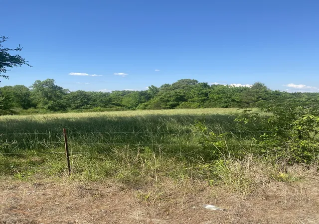 4th image of 656 County Rd, Anderson, AL 35610 | MLS# 3218223