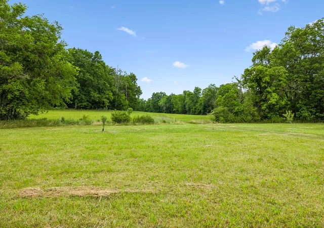 Homes for sale in Brush Creek, TN | 0 Earl Steel Rd E, Brush Creek, TN 38547 | MLS# 3229216