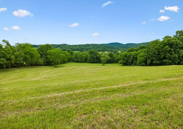 Homes for sale in Brush Creek, TN | 0 Earl Steel Rd E, Brush Creek, TN 38547 | MLS# 3229216