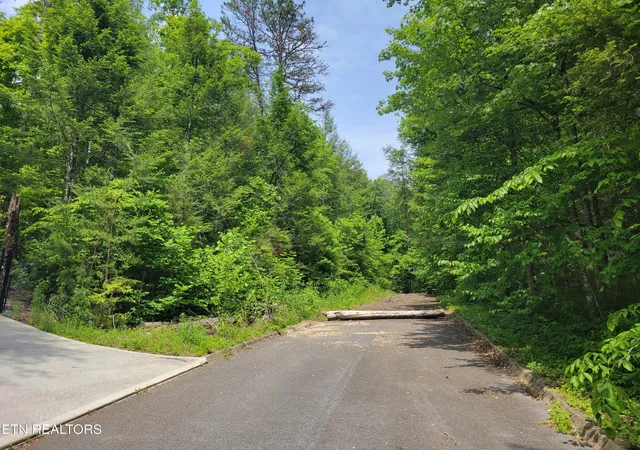 4th image of 10 Rail Hill Lane, Cosby, TN 37722 | MLS# 3314610