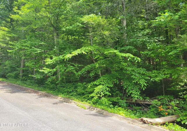 3rd image of 11 Peace Lane, Cosby, TN 37722 | MLS# 3314611