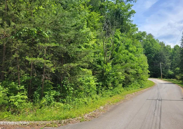 1st image of 14 Peace Lane, Cosby, TN 37722 | MLS# 3314612
