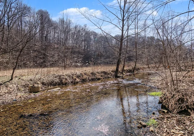 1st image of 0 Ribbon Branch Road, Dover, TN 37058 | MLS# 3220062