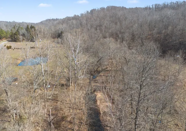 2nd image of 0 Ribbon Branch Road, Dover, TN 37058 | MLS# 3220062