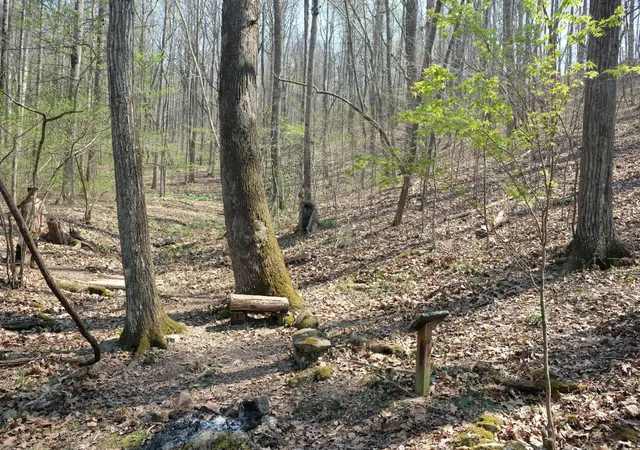 Photo 3 of Land for sale at 3578 Wolf Crk Rd, Spring City, TN 37381 | MLS# 3220017 | Listing updated on 2026-08-18