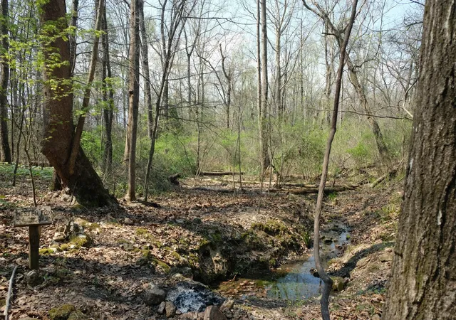 Photo 3 of Land for sale at 3578 Wolf Crk Rd, Spring City, TN 37381 | MLS# 3220017 | Listing updated on 2026-08-18
