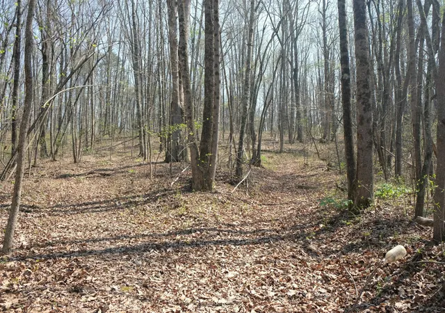Photo 4 of Land for sale at 3578 Wolf Crk Rd, Spring City, TN 37381 | MLS# 3220017 | Listing updated on 2026-08-18