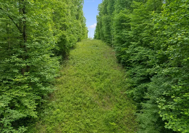 Photo 1 of Land for sale at 0 Davis Holw Rd, Franklin, TN 37064 | MLS# 3231340 | Listing updated on 2026-08-19