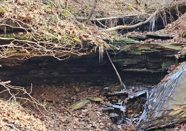 Photo 2 of Land for sale at 0 Davis Holw Rd, Franklin, TN 37064 | MLS# 3231340 | Listing updated on 2026-08-19