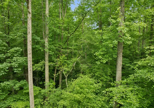 Photo 2 of House for sale at 0 Davis Holw Rd, Franklin, TN 37064 | MLS# 3231340 | Listing updated on 2026-08-19