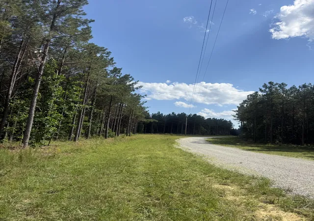Homes for sale in Hohenwald, TN | 251 Fox Ridge Rd, Hohenwald, TN 38462 | MLS# 3242234
