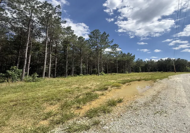 Homes for sale in Hohenwald, TN | 251 Fox Ridge Rd, Hohenwald, TN 38462 | MLS# 3242234
