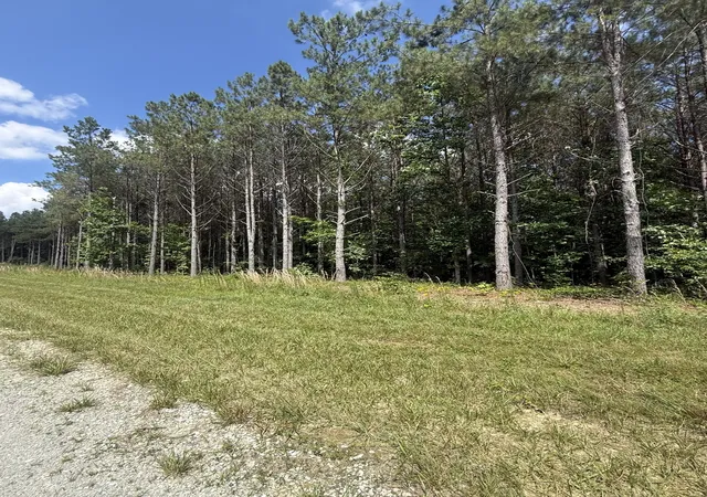 Homes for sale in Hohenwald, TN | 251 Fox Ridge Rd, Hohenwald, TN 38462 | MLS# 3242234