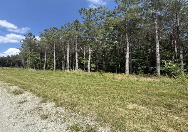 Homes for sale in Hohenwald, TN | 251 Fox Ridge Rd, Hohenwald, TN 38462 | MLS# 3242234