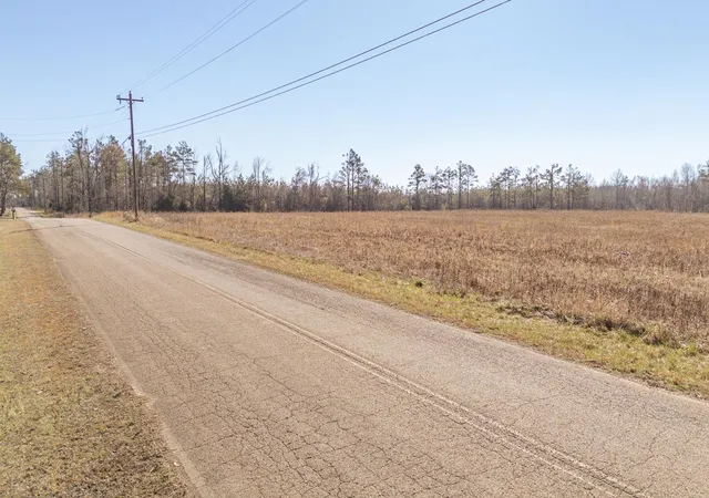 Homes for sale in Michie, TN | 1 Dr Williams Rd, Michie, TN 38357 | MLS# 3220198