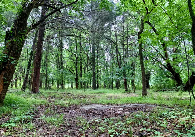Photo 1 of Land for sale at 1 Rucker Rd, Christiana, TN 37037 | MLS# 3220349 | Listing updated on 2026-09-20