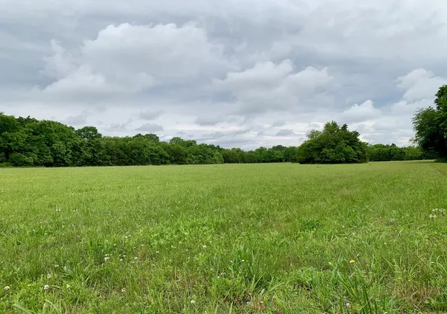 Photo 3 of Land for sale at 1 Rucker Rd, Christiana, TN 37037 | MLS# 3220349 | Listing updated on 2026-09-20
