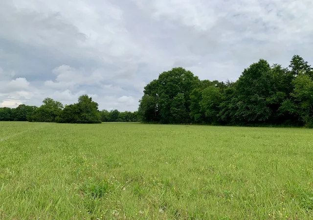 Photo 4 of Land for sale at 1 Rucker Rd, Christiana, TN 37037 | MLS# 3220349 | Listing updated on 2026-09-20