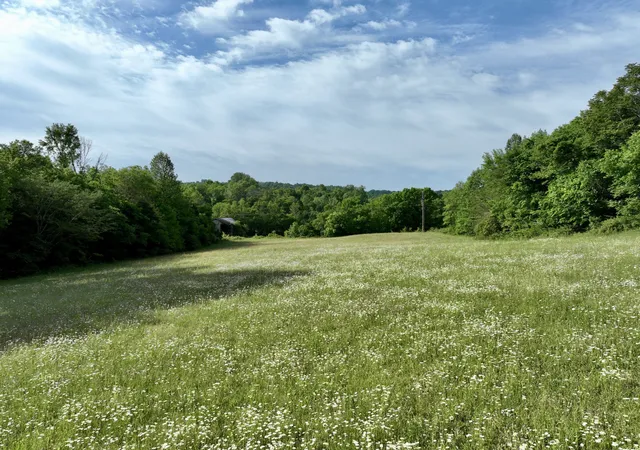 4th image of 1 Fattybread Branch Rd, Williamsport, TN 38487 | MLS# 3220525
