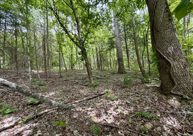 5th image of 1 Fattybread Branch Rd, Williamsport, TN 38487 | MLS# 3220525