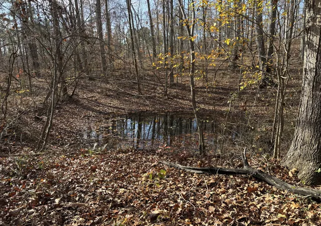 17th image of 0 Salem Road, Mc Minnville, TN 37110 | MLS# 3220487