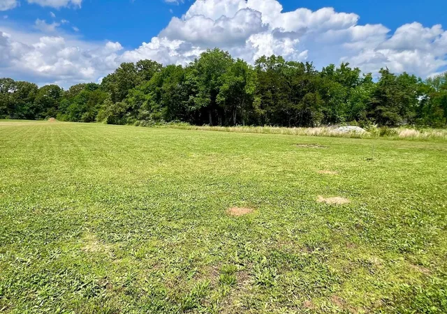Homes for sale in Savannah, TN | 0 Cordova Cv, Savannah, TN 38372 | MLS# 3220484