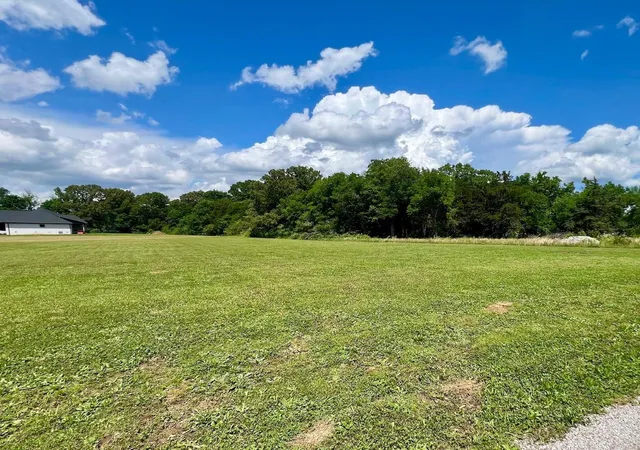 Homes for sale in Savannah, TN | 0 Cordova Cv, Savannah, TN 38372 | MLS# 3220484