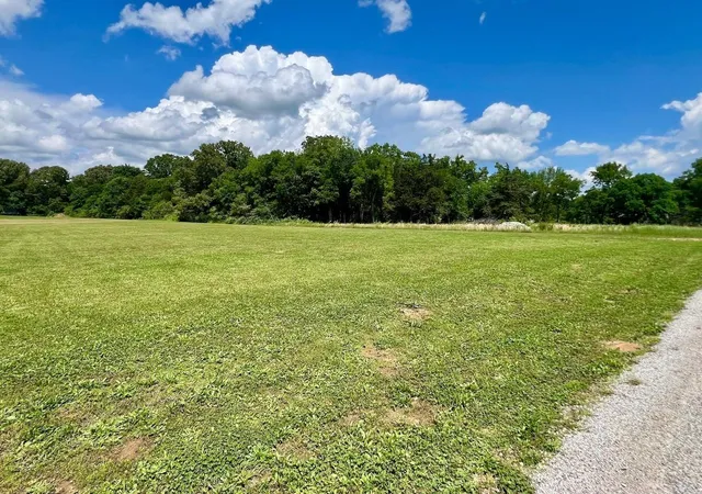 Homes for sale in Savannah, TN | 0 Cordova Cv, Savannah, TN 38372 | MLS# 3220484