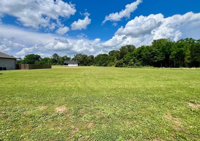 Homes for sale in Savannah, TN | 0 Cordova Cv, Savannah, TN 38372 | MLS# 3220484