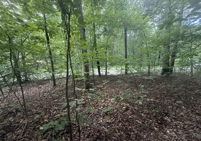 Photo 4 of Land for sale at 0 Caney Branch Rd, Stewart, TN 37175 | MLS# 3220600 | Listing updated on 2026-10-19