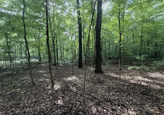 Homes for sale in Stewart, TN | 0 Caney Creek Rd, Stewart, TN 37175 | MLS# 3271967