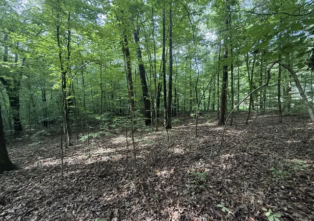 Homes for sale in Stewart, TN | 0 Caney Creek Rd, Stewart, TN 37175 | MLS# 3271967