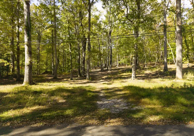 1st image of 484 Apollo Dr, Spring City, TN 37381 | MLS# 3220617