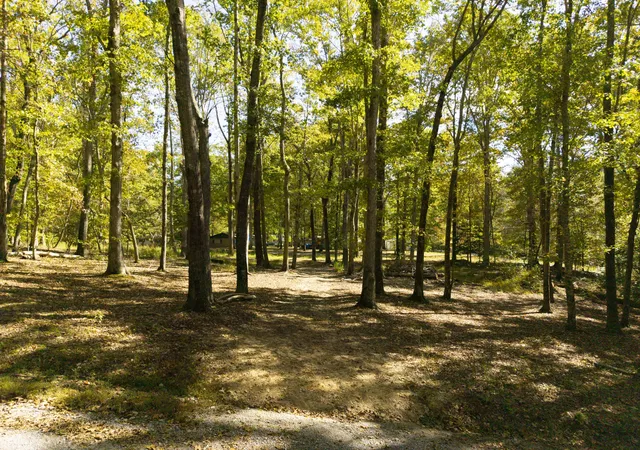 2nd image of 484 Apollo Dr, Spring City, TN 37381 | MLS# 3220617