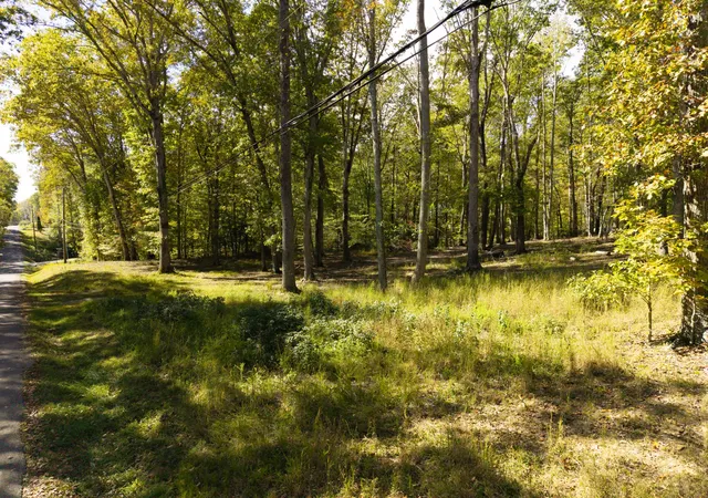 3rd image of 484 Apollo Dr, Spring City, TN 37381 | MLS# 3220617