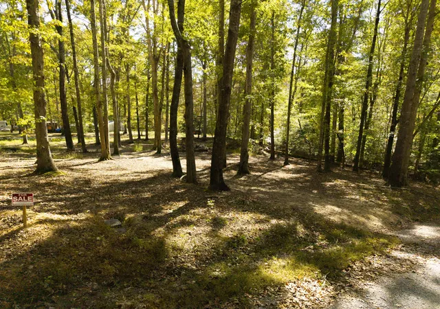 4th image of 484 Apollo Dr, Spring City, TN 37381 | MLS# 3220617