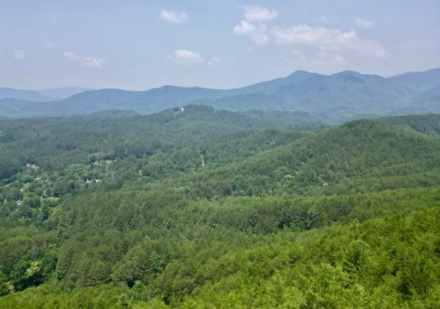 Homes for sale in Copperhill, TN | 0 Little Mtn Road, Copperhill, TN 37317 | MLS# 3261909