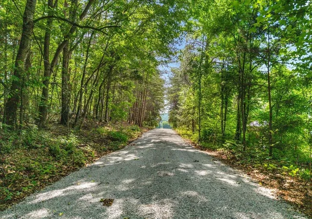 Homes for sale in Riceville, TN | 21 County Road 675, Riceville, TN 37370 | MLS# 3223273