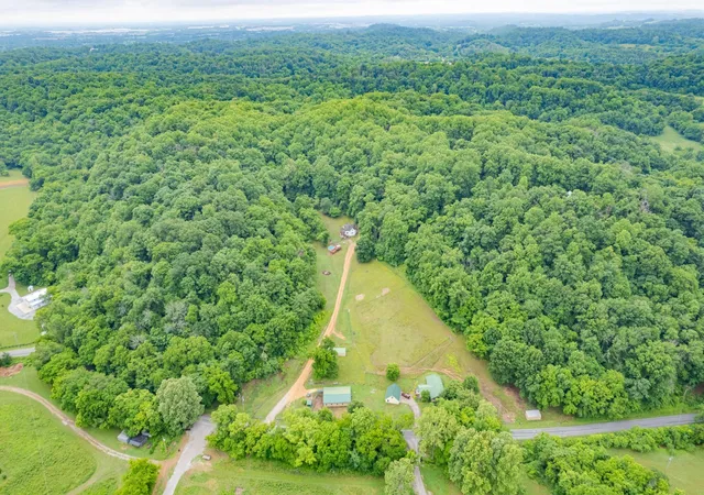 Homes for sale in Columbia, TN | 2650 Haywood Hollow Rd, Columbia, TN 38401 | MLS# 3221313
