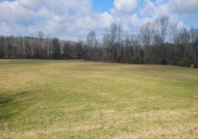 Homes for sale in Fayetteville, TN | 1 Thornton Taylor Parkway, Fayetteville, TN 37334 | MLS# 3234631