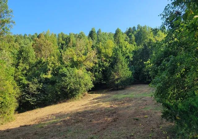 1st image of 48 Hannah Br Rd, Petersburg, TN 37144 | MLS# 3223881