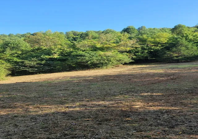 12th image of 48 Hannah Br Rd, Petersburg, TN 37144 | MLS# 3223881