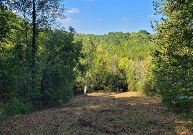 2nd image of 48 Hannah Br Rd, Petersburg, TN 37144 | MLS# 3223881