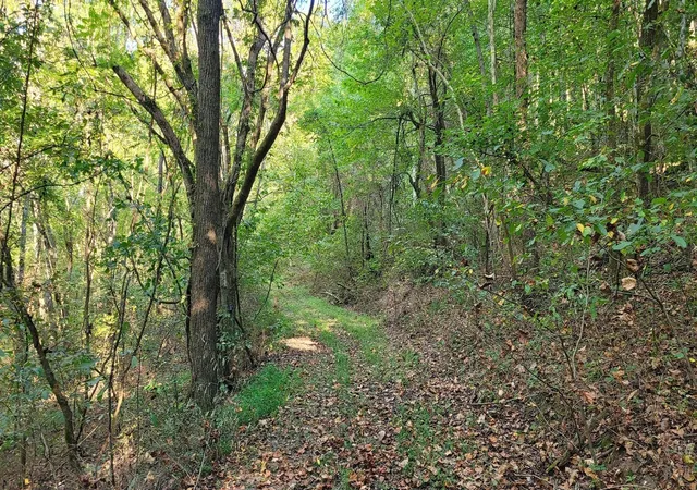 3rd image of 48 Hannah Br Rd, Petersburg, TN 37144 | MLS# 3223881