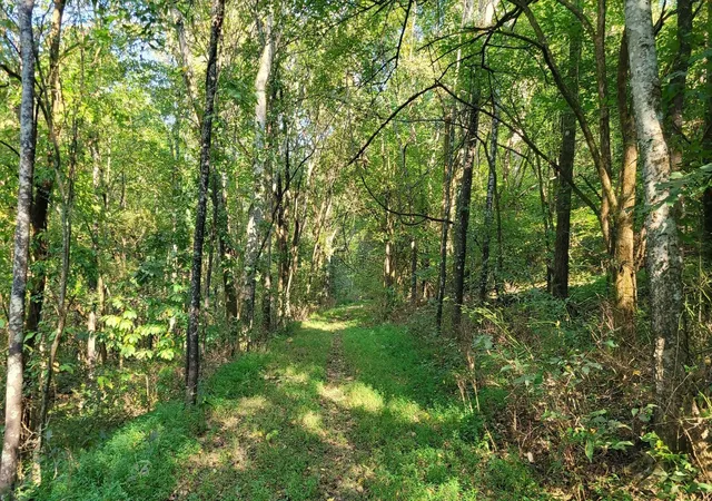 5th image of 48 Hannah Br Rd, Petersburg, TN 37144 | MLS# 3223881