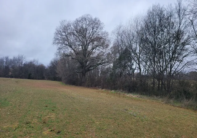 3rd image of 2917 Old Mcminnville Hwy, Woodbury, TN 37190 | MLS# 3246556