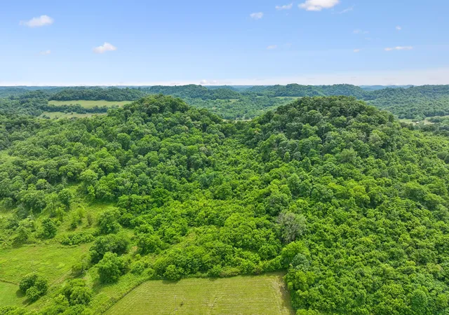 Homes for sale in Carthage, TN | 0 Little Salt Lick Creek Rd, Carthage, TN 37030 | MLS# 3224336