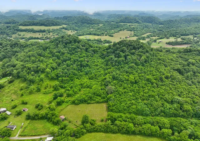 Homes for sale in Carthage, TN | 0 Little Salt Lick Creek Rd, Carthage, TN 37030 | MLS# 3224336