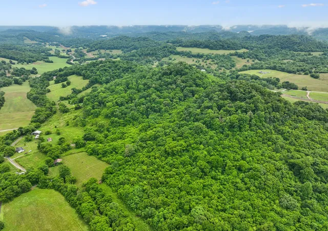 Homes for sale in Carthage, TN | 0 Little Salt Lick Creek Rd, Carthage, TN 37030 | MLS# 3224336